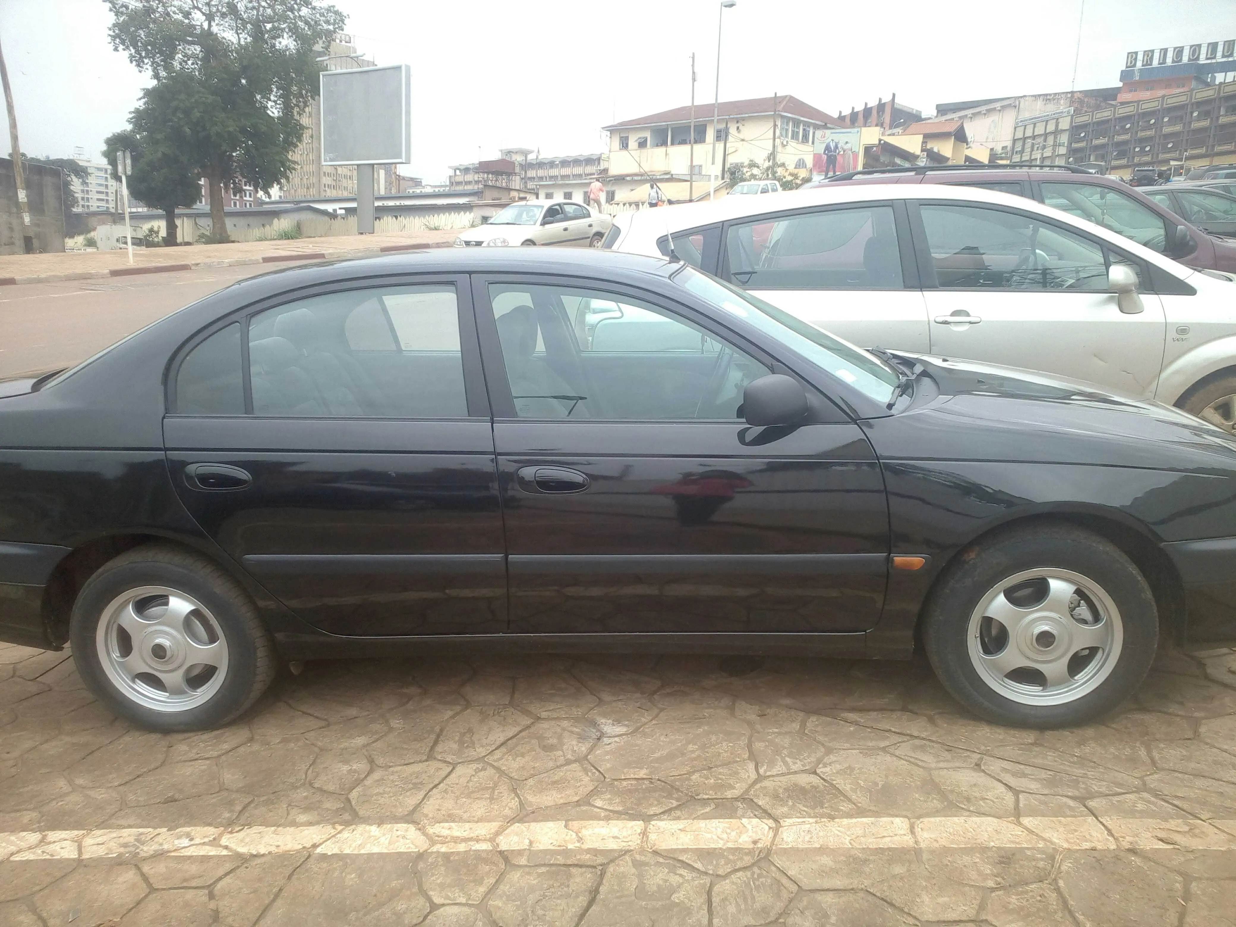 Avensis