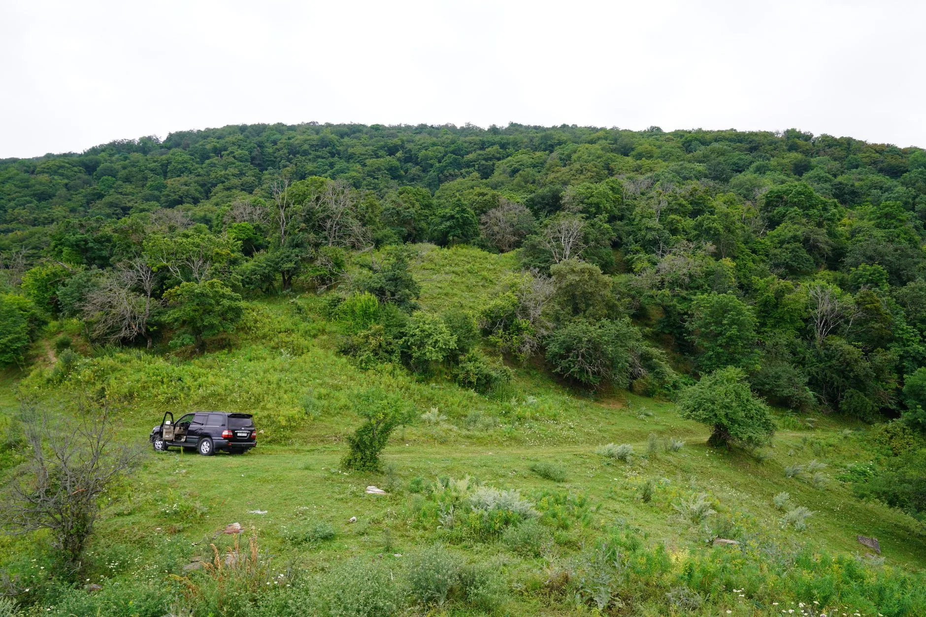 Buea → Garoua — VORIK
